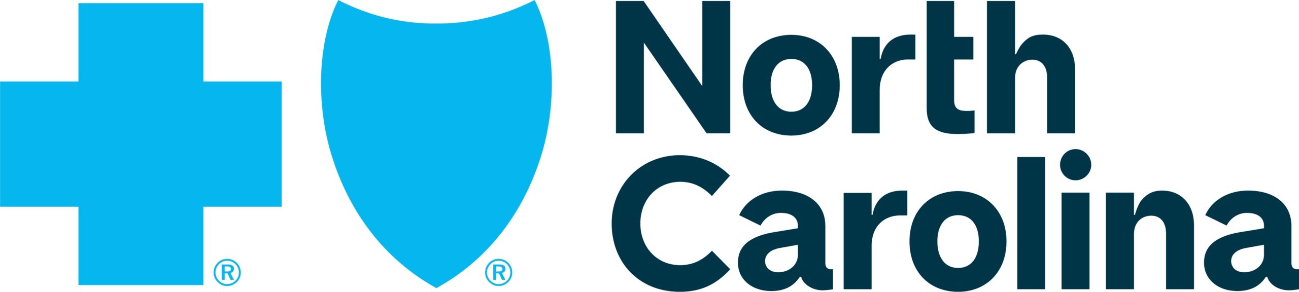 BCBSNC_Primary_RGB-SkyDkSea