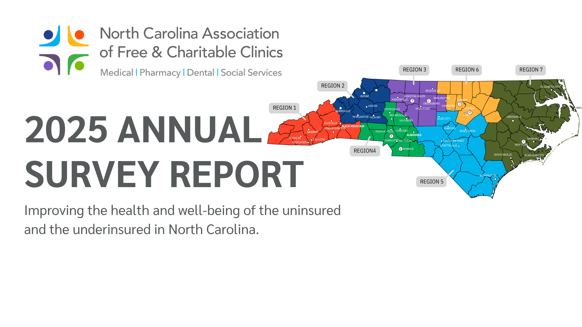 2025 Annual Survey Report